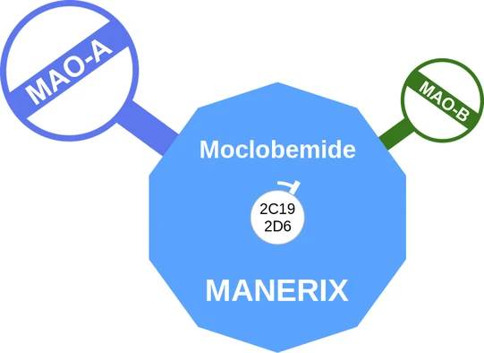 Moclobemide ballicule — decagon mechanism diagram