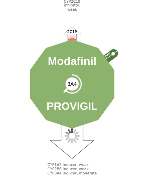Modafinil ballicule: receptor binding, kinetics and half-life diagram