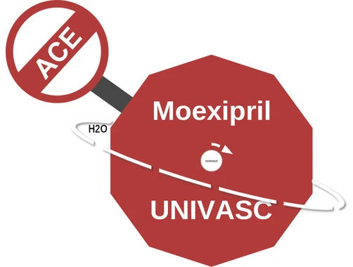 Moexipril ballicule — decagon mechanism diagram
