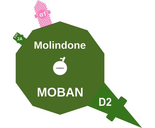 Molindone ballicule: receptor binding, kinetics and half-life diagram