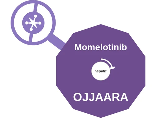 Momelotinib ballicule: receptor binding, kinetics and half-life diagram