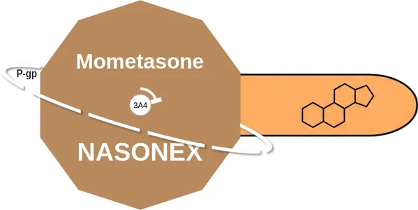 Mometasone ballicule — decagon mechanism diagram