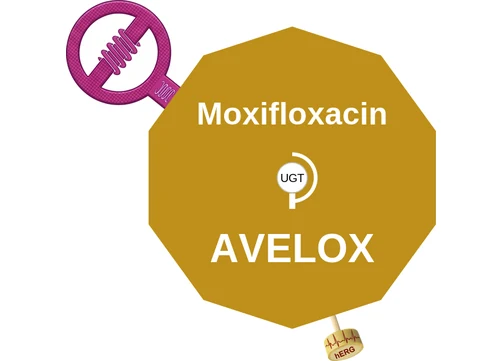 Moxifloxacin ballicule — decagon mechanism diagram