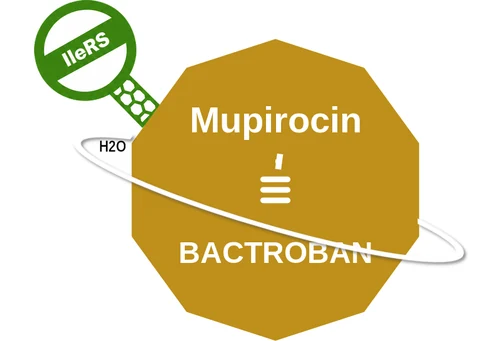 Mupirocin ballicule — decagon mechanism diagram