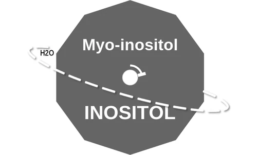 Myo-inositol ballicule — decagon mechanism diagram