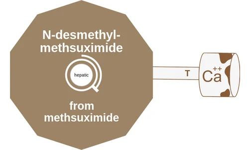 N-desmethyl methsuximide ballicule: receptor binding, kinetics and half-life diagram