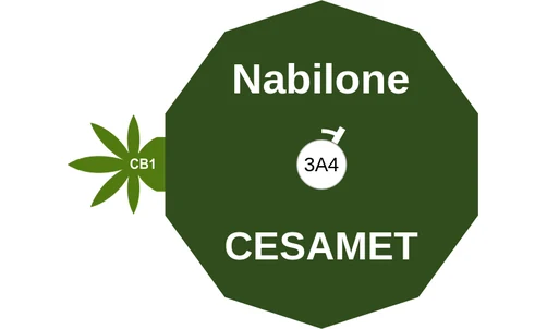 Nabilone ballicule: receptor binding, kinetics and half-life diagram
