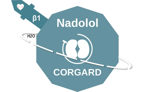 Nadolol ballicule — decagon mechanism diagram