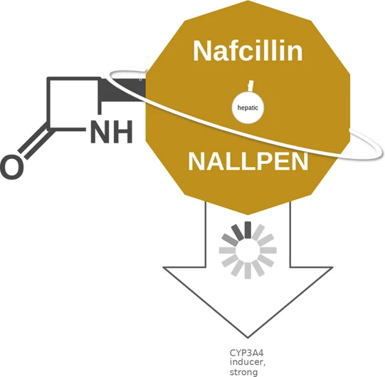 Nafcillin ballicule — decagon mechanism diagram