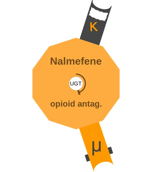 Nalmefene ballicule — decagon mechanism diagram