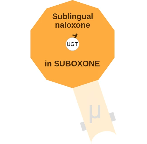 Sublingual naloxone ballicule — decagon mechanism diagram