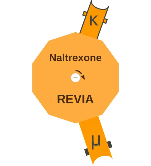 Naltrexone ballicule: receptor binding, kinetics and half-life diagram