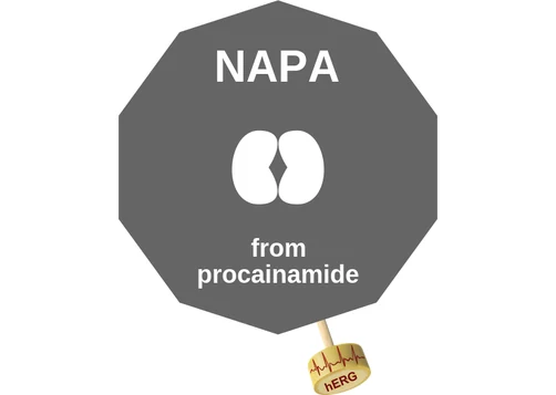 NAPA ballicule — decagon mechanism diagram