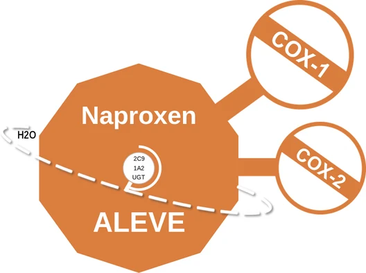 Naproxen ballicule — decagon mechanism diagram