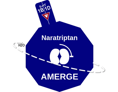 Naratriptan ballicule: receptor binding, kinetics and half-life diagram