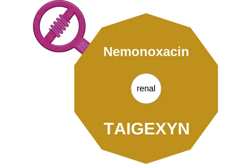 Nemonoxacin ballicule: receptor binding, kinetics and half-life diagram