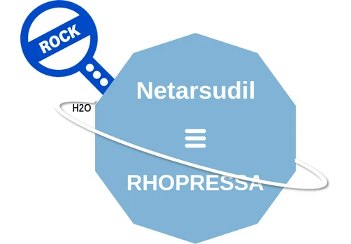 Netarsudil ballicule: receptor binding, kinetics and half-life diagram