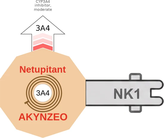Netupitant ballicule: receptor binding, kinetics and half-life diagram