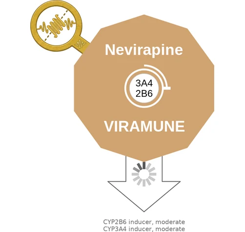 Nevirapine ballicule: receptor binding, kinetics and half-life diagram