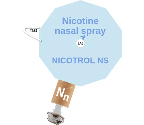 Nicotine nasal spray ballicule: receptor binding, kinetics and half-life diagram