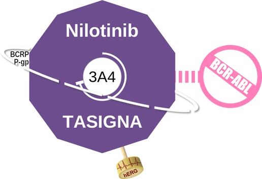 Nilotinib ballicule: receptor binding, kinetics and half-life diagram