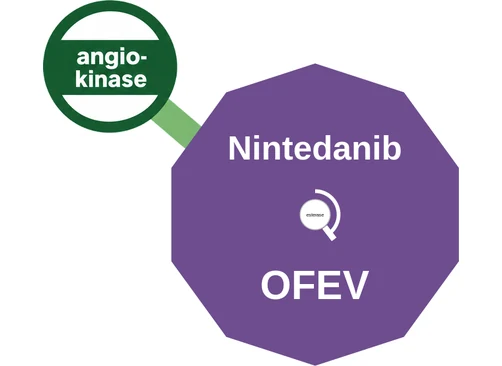 Nintedanib ballicule: receptor binding, kinetics and half-life diagram