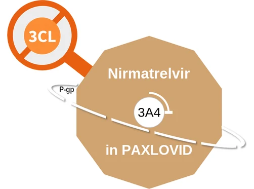 Nirmatrelvir ballicule — decagon mechanism diagram