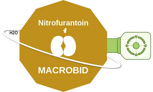 Nitrofurantoin ballicule — decagon mechanism diagram