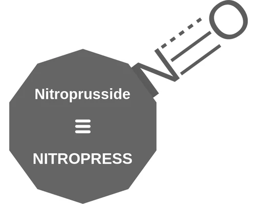 Nitroprusside ballicule: receptor binding, kinetics and half-life diagram