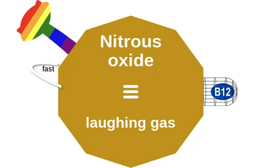 Nitrous oxide ballicule: receptor binding, kinetics and half-life diagram