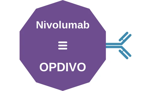 Nivolumab ballicule — decagon mechanism diagram