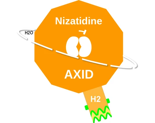 Nizatidine ballicule: receptor binding, kinetics and half-life diagram