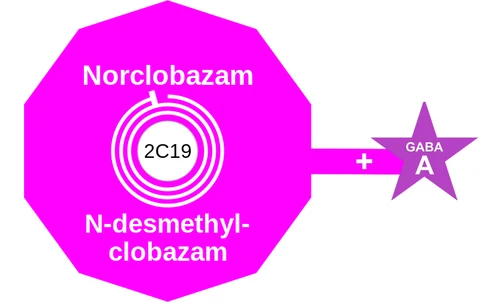 Norclobazam ballicule — decagon mechanism diagram