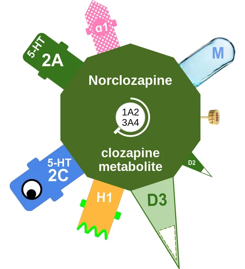 Norclozapine ballicule — decagon mechanism diagram
