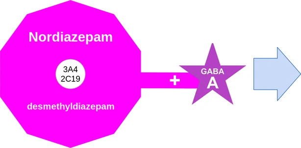 Nordiazepam ballicule — decagon mechanism diagram