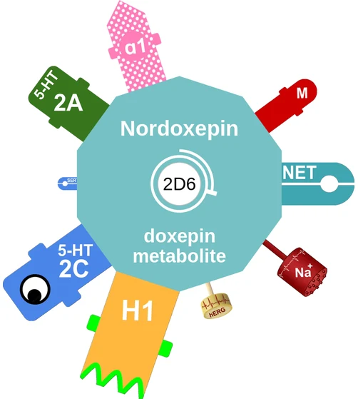 Nordoxepin ballicule — decagon mechanism diagram