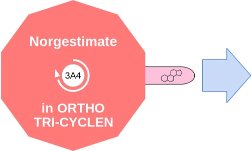 Norgestimate ballicule — decagon mechanism diagram