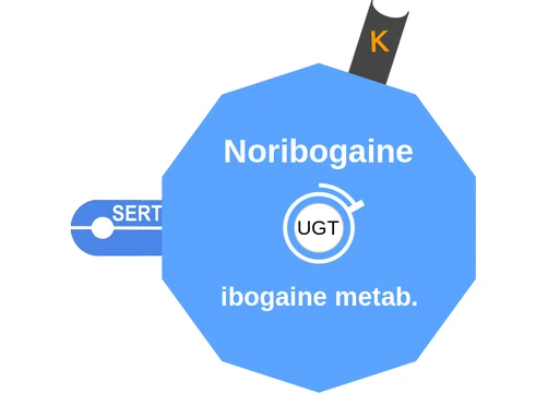 Noribogaine ballicule — decagon mechanism diagram