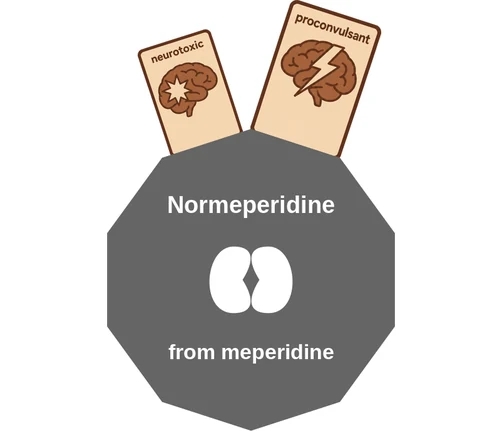 Normeperidine ballicule: receptor binding, kinetics and half-life diagram