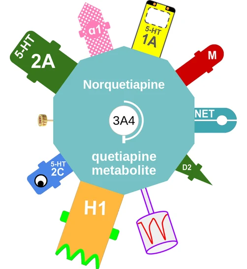 Norquetiapine ballicule — decagon mechanism diagram