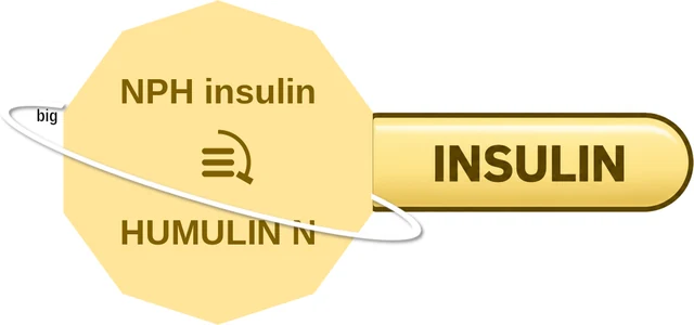 NPH insulin ballicule: receptor binding, kinetics and half-life diagram