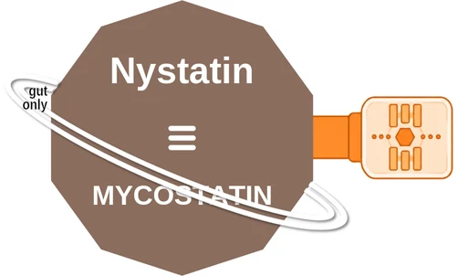 Nystatin ballicule: receptor binding, kinetics and half-life diagram