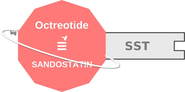 Octreotide ballicule — decagon mechanism diagram