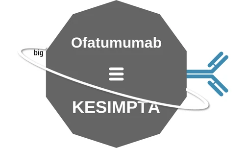 Ofatumumab ballicule: receptor binding, kinetics and half-life diagram