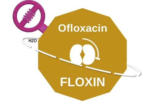 Ofloxacin ballicule — decagon mechanism diagram