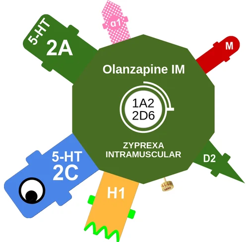 Olanzapine IM ballicule: receptor binding, kinetics and half-life diagram