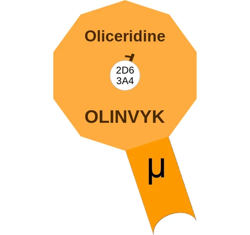 Oliceridine ballicule: receptor binding, kinetics and half-life diagram