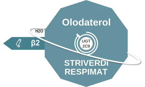 Olodaterol ballicule: receptor binding, kinetics and half-life diagram