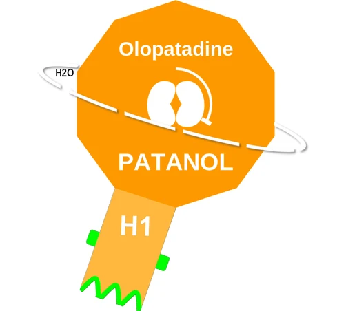 Olopatadine ballicule: receptor binding, kinetics and half-life diagram