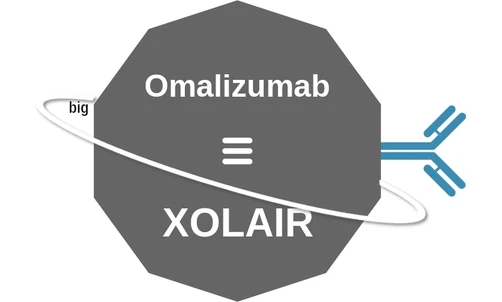Omalizumab ballicule: receptor binding, kinetics and half-life diagram